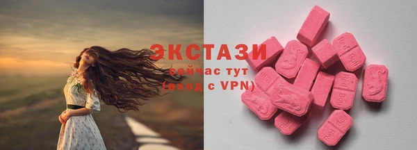шишки Вяземский