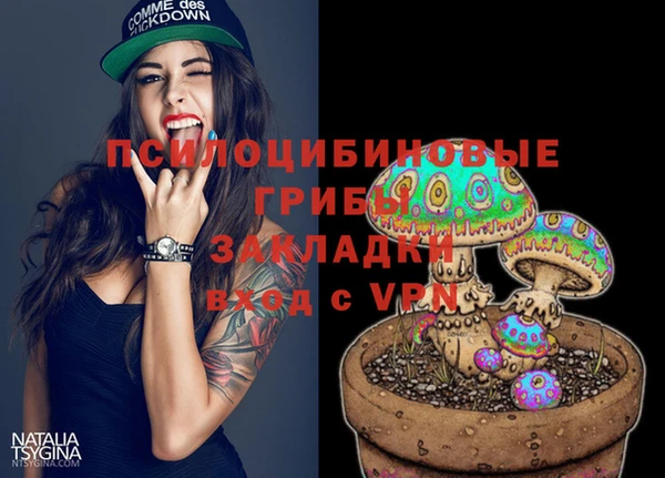шишки Вяземский