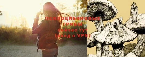 шишки Вяземский